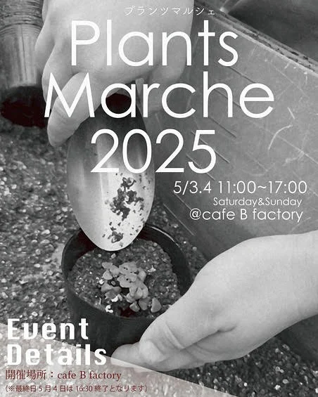 【Plants Marche 2025に出店のお知らせ】

東京都町田市にある無農薬ファーム＆ブルーベリー農園＆カフェB fatoryさんにて行われる
『Plants Marche 2025』のBiokashiブースにて物販販売を行います！

Biokashiブースではお買い得な商品をご用意しておりますので、この機会にぜひお試しださい。
みなさまのご来場を心よりお待ちしております！

■イベント詳細です
開催時期：2025年5月3日（土)・4（日）
時間：11:00～17:00 雨天決行　※最終日は16:30終了となります。
Biokashiの物販は5/3(土)のみ
＊お会計はキャッシュレス決済のみとなりますので、ご了承ください。
またイベント期間中は、店前駐車場がご利用いただけませんので、第二駐車場をご利用ください。

bfactory_machida
https://www.instagram.com/bfactory_machida/

#オーガニック #Biokashi #自然体 #健康的な暮らし #オーガニックチョコレート #オーガニック好きな人と繋がりたい #オーガニックフード #jas認定 #無添加おやつ
#健康#安心おやつ#オーガニック #自然食#健康志向
#有機素材 #有機野菜 #有機
#ナッツ　#org #ていねいな暮らし #安心安全 
#organic #おうち時間 #丁寧な暮らし